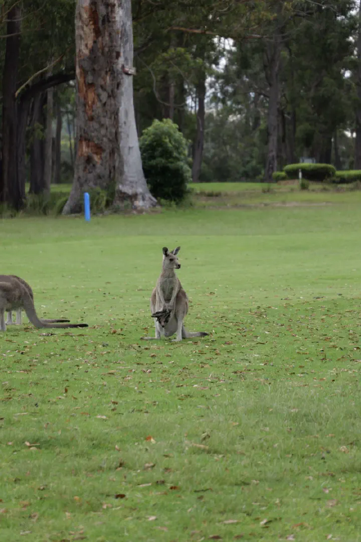 Eden, Australien - Photo 19