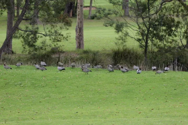 Eden, Australien - Photo 20