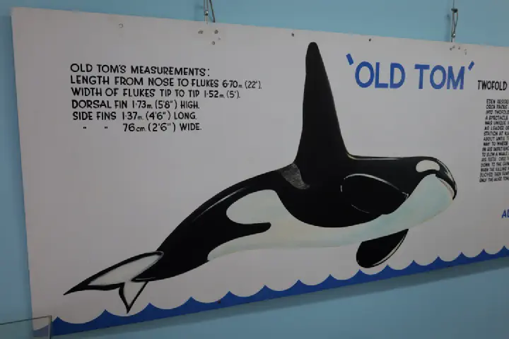 Eden, Australien - Photo 27