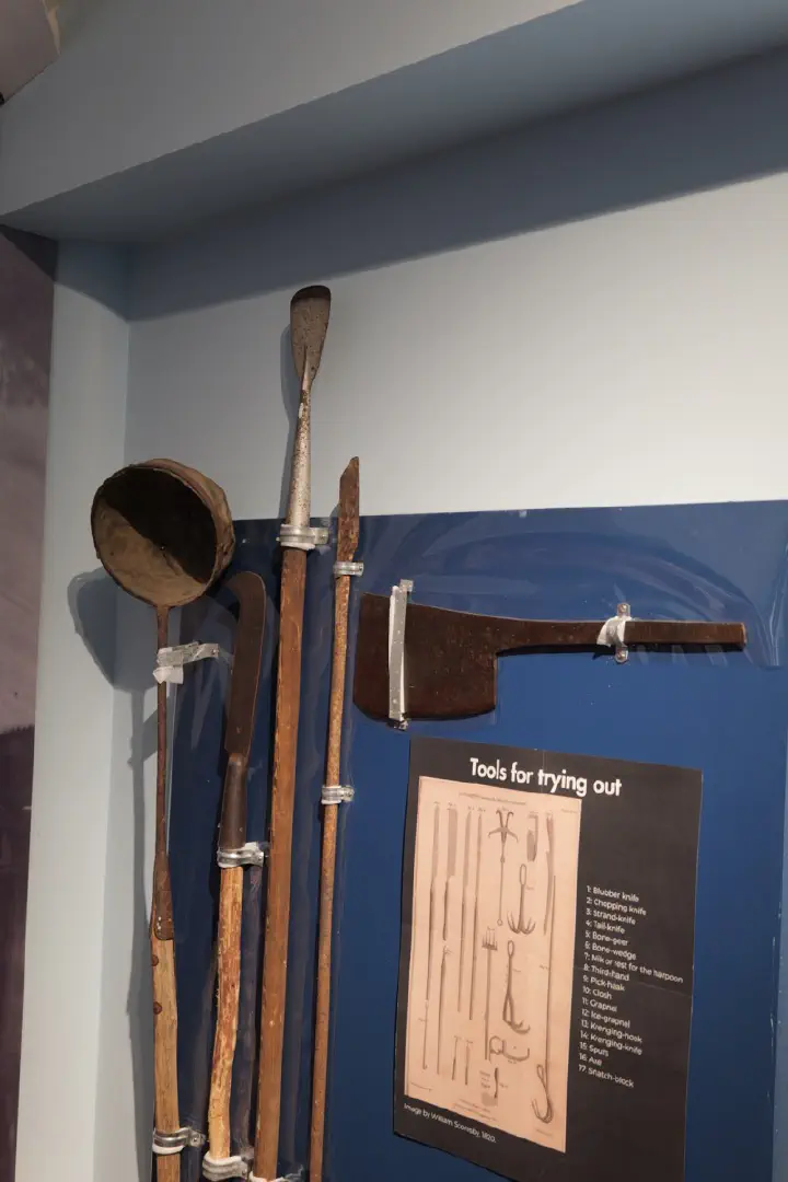 Eden, Australien - Photo 28