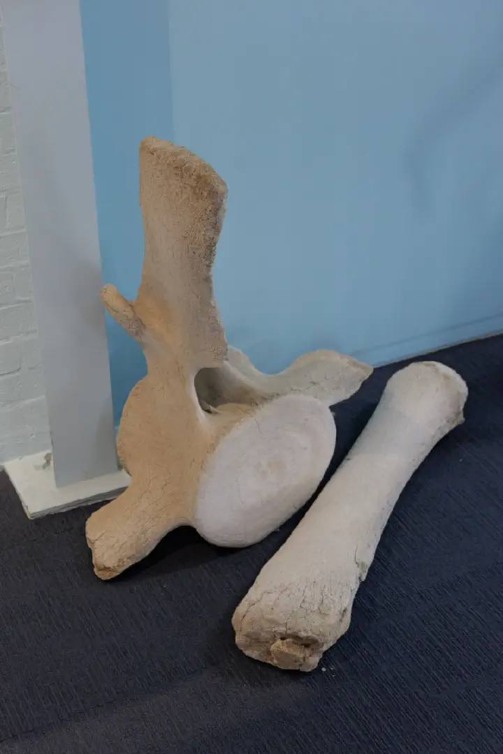 Eden, Australien - Photo 30