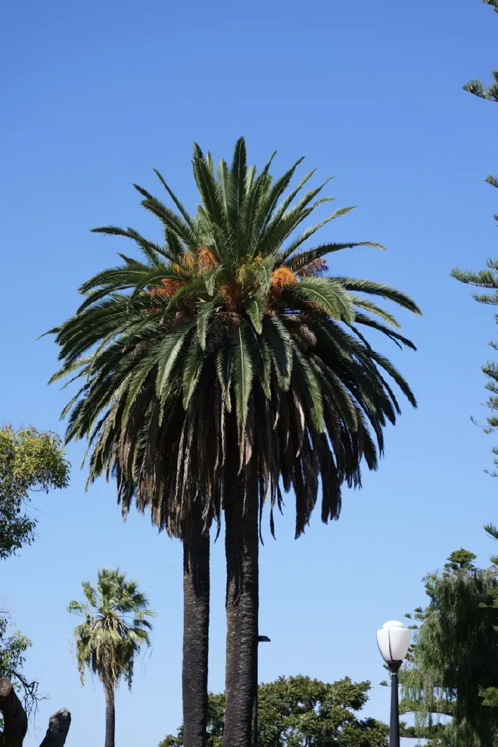 Fremantle/Perth, Australien - Photo 4