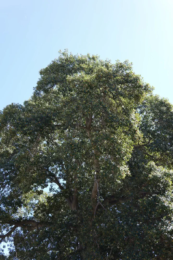 Fremantle/Perth, Australien - Photo 20