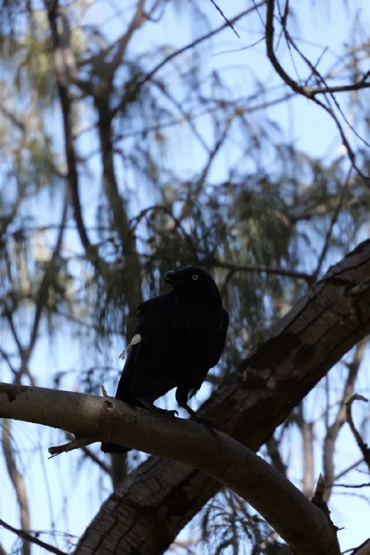 Fremantle/Perth, Australien - Photo 27