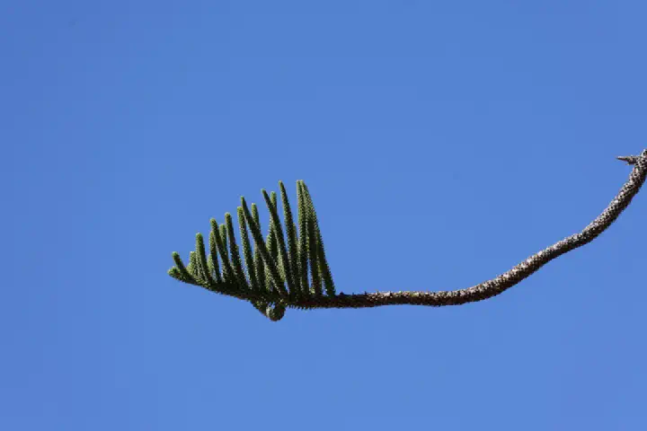 Fremantle/Perth, Australien - Photo 28