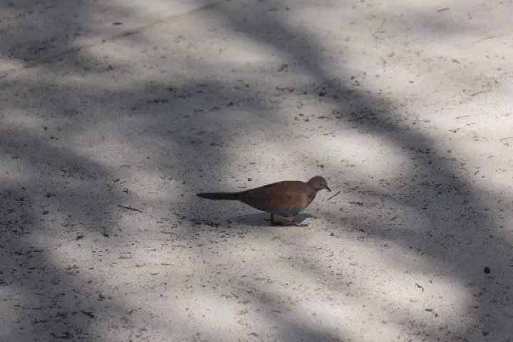 Fremantle/Perth, Australien - Photo 23