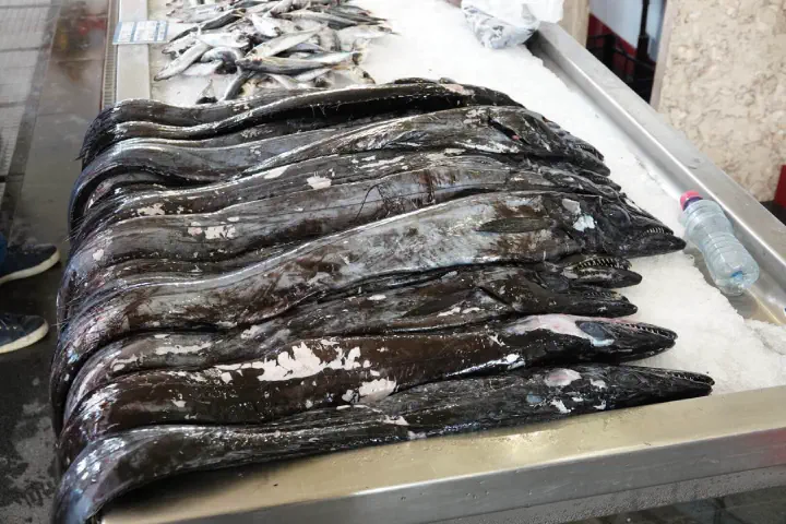 Funchal, Portugal - Photo 25