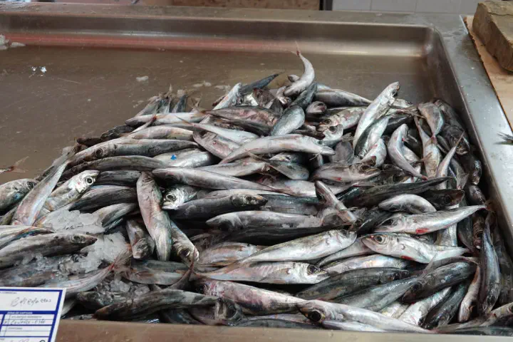 Funchal, Portugal - Photo 26