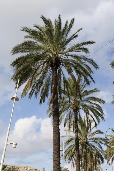 Genua, Italien - Photo 2