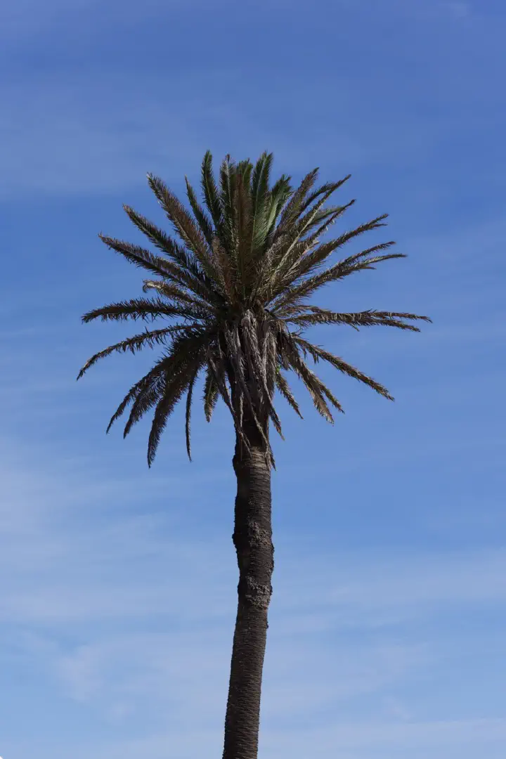 Gqeberha, Südafrika - Photo 4