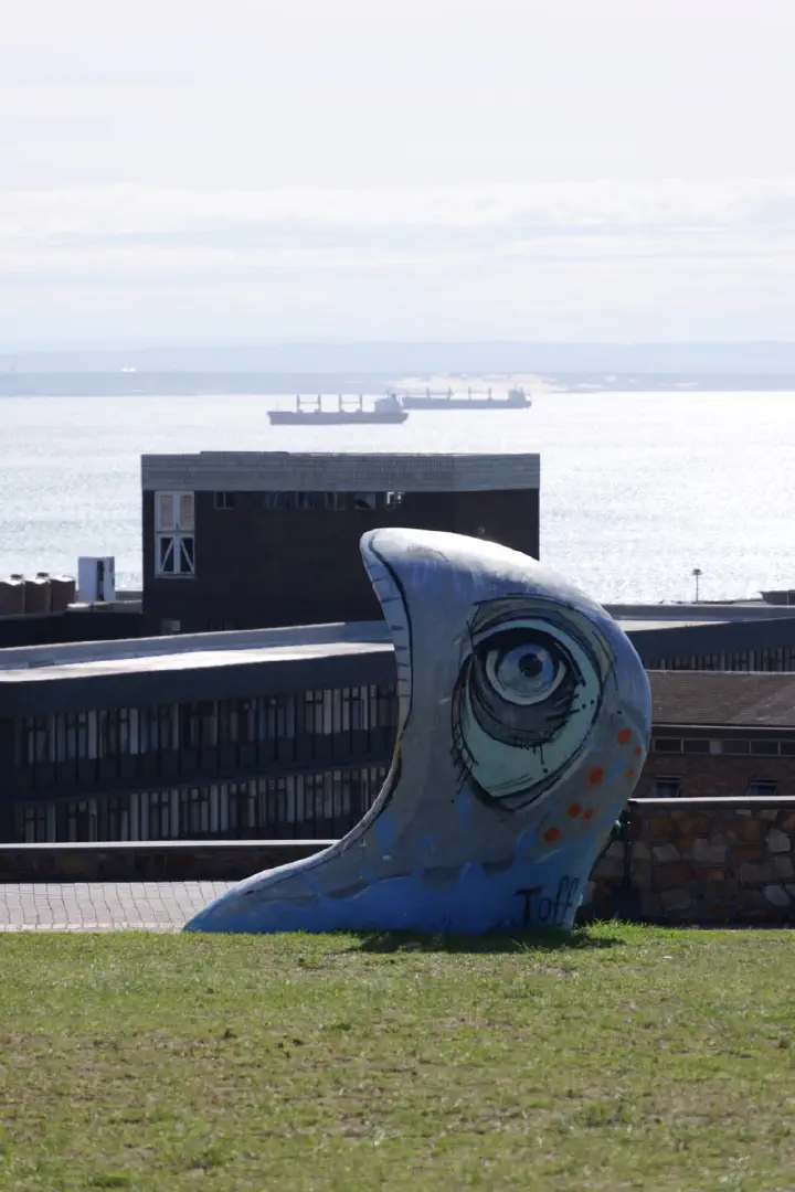 Gqeberha, Südafrika - Photo 15