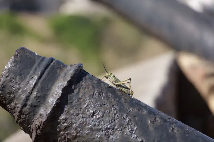 Gqeberha, Südafrika - Photo 36