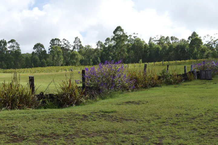 Hanga Roa, Chile - Photo 9