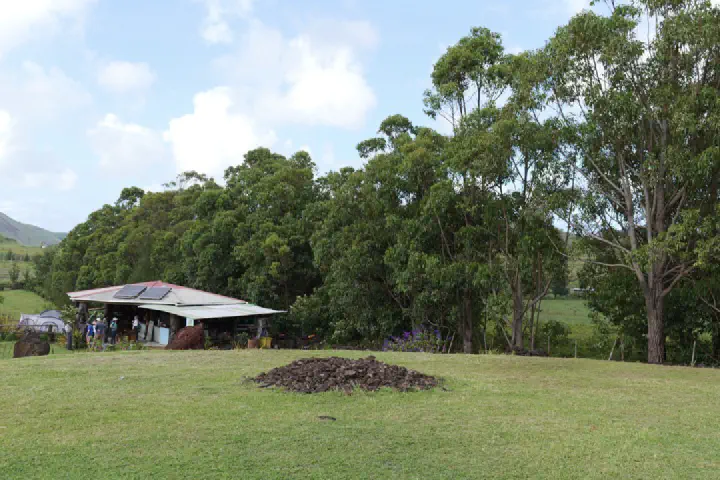 Hanga Roa, Chile - Photo 12