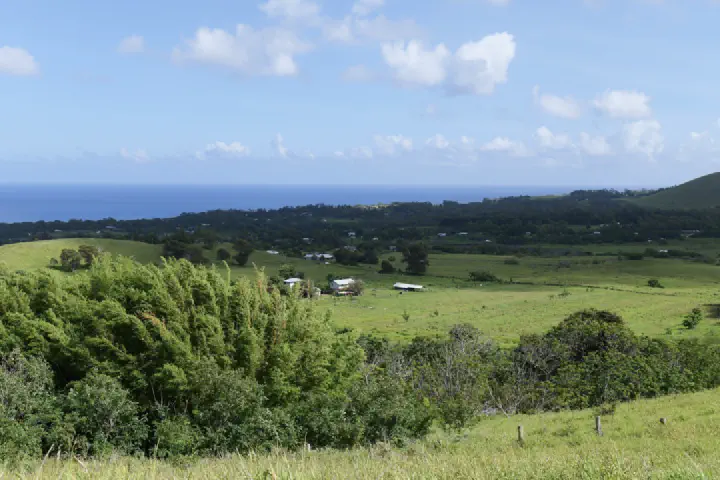 Hanga Roa, Chile - Photo 21