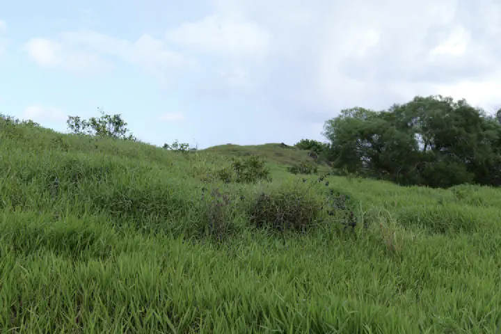 Hanga Roa, Chile - Photo 28