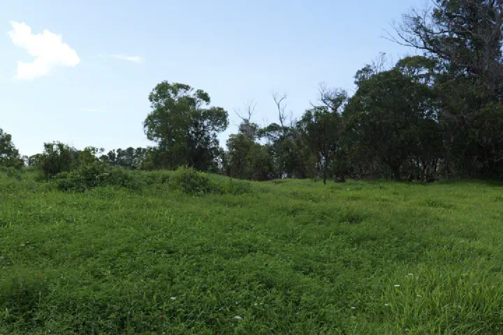 Hanga Roa, Chile - Photo 30