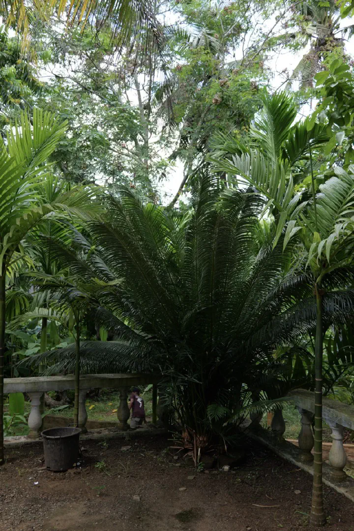 Hell-Ville, Madagaskar - Photo 1