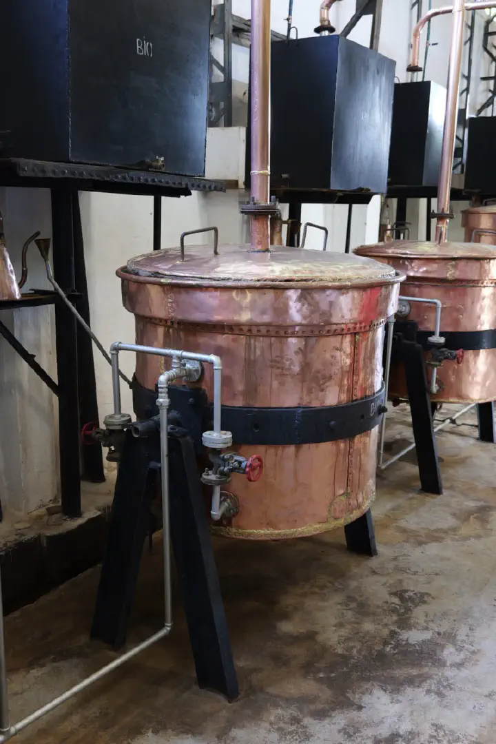 Hell-Ville, Madagaskar - Photo 3