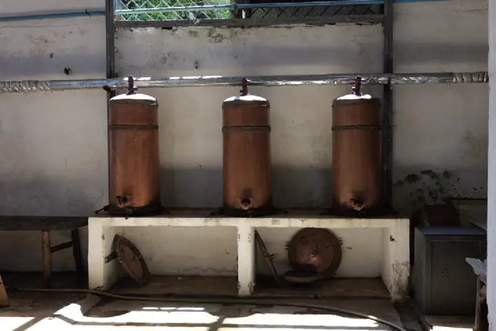 Hell-Ville, Madagaskar - Photo 10