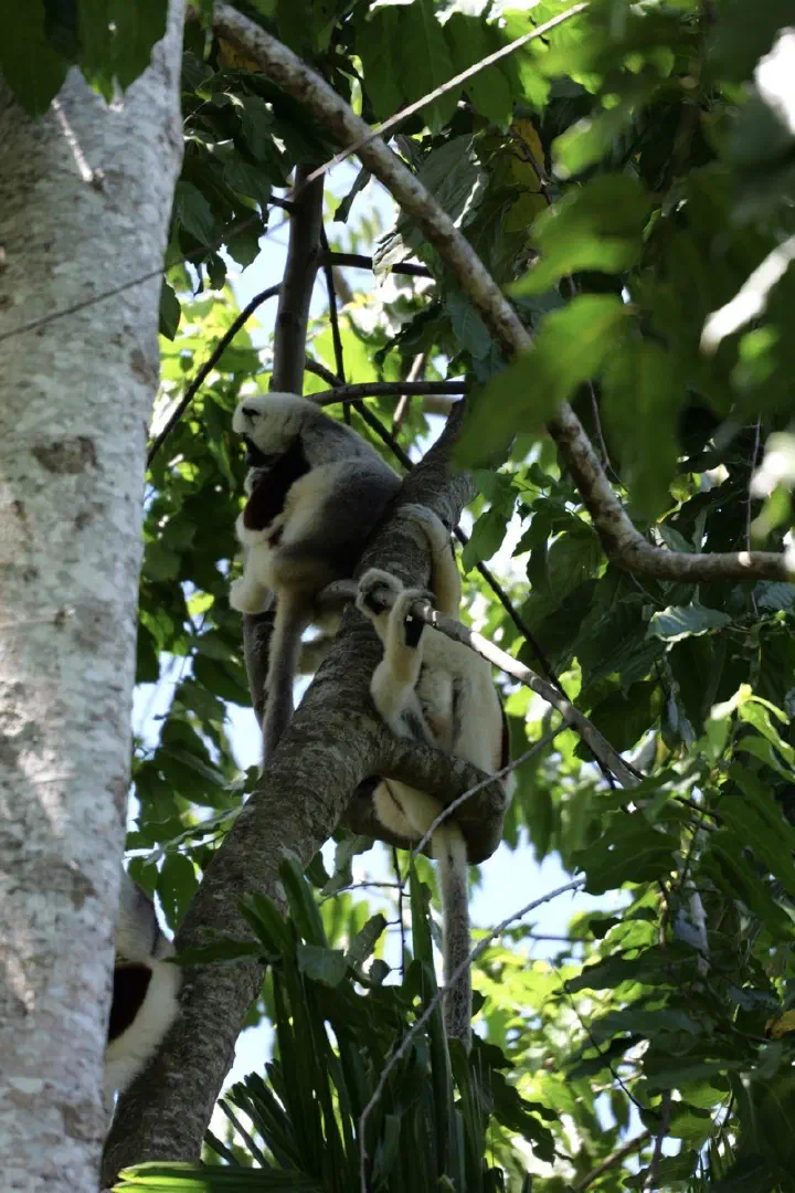 Hell-Ville, Madagaskar - Photo 13