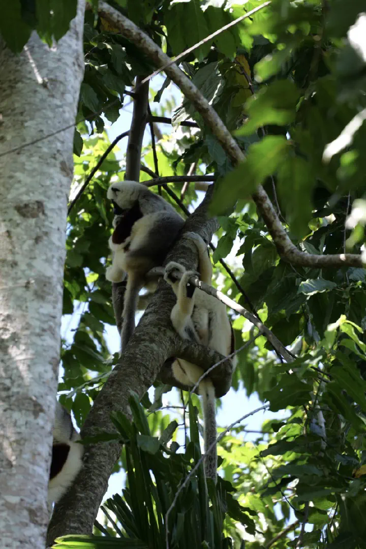 Hell-Ville, Madagaskar - Photo 13