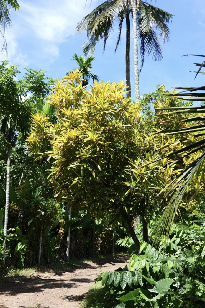 Hell-Ville, Madagaskar - Photo 14