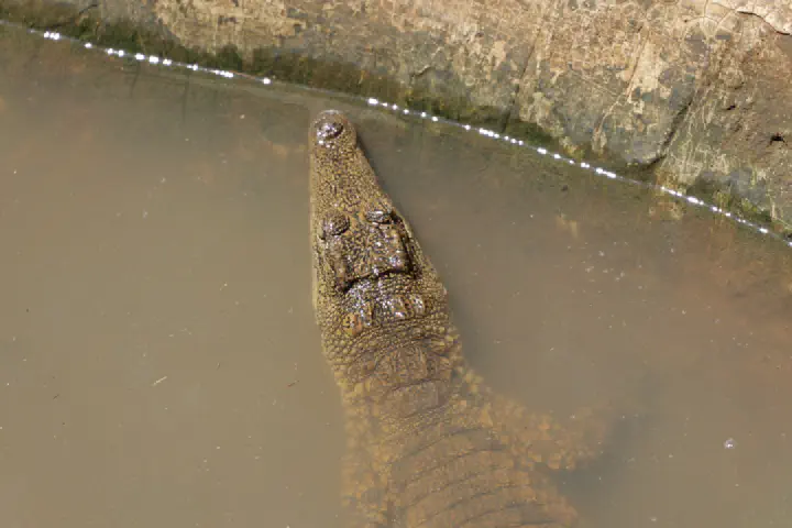 Hell-Ville, Madagaskar - Photo 17