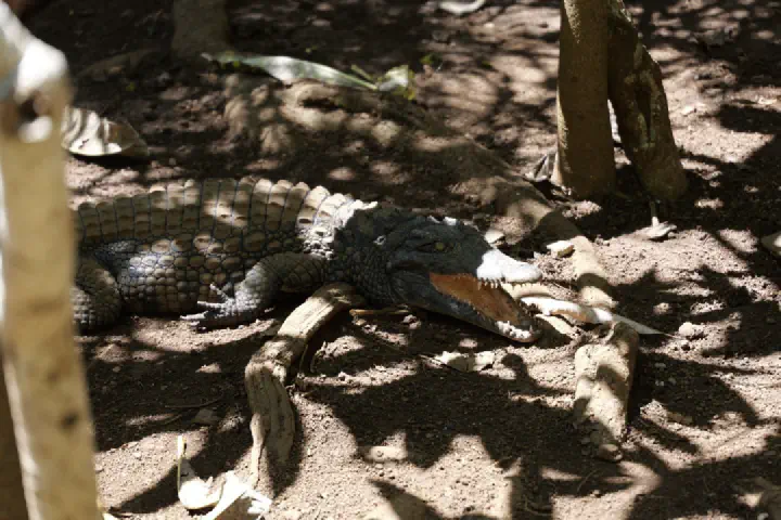 Hell-Ville, Madagaskar - Photo 18