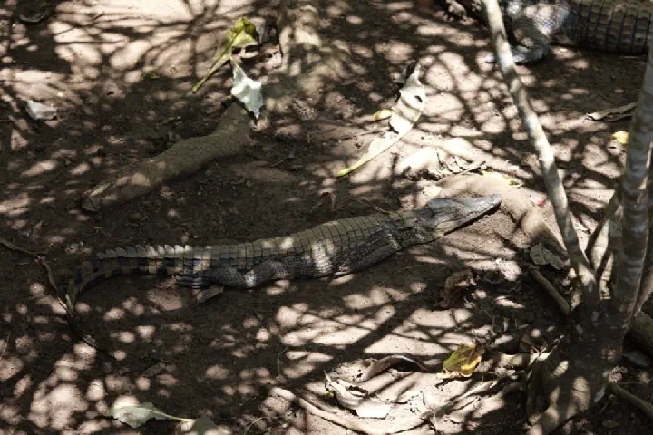 Hell-Ville, Madagaskar - Photo 19
