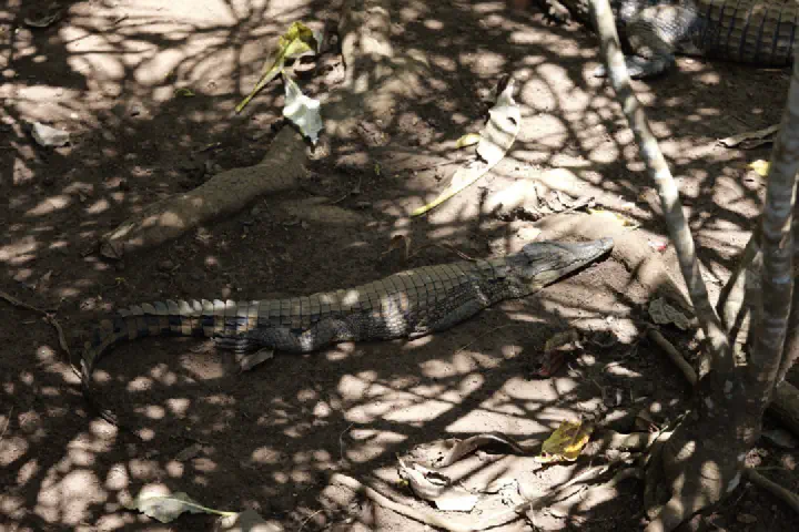Hell-Ville, Madagaskar - Photo 19