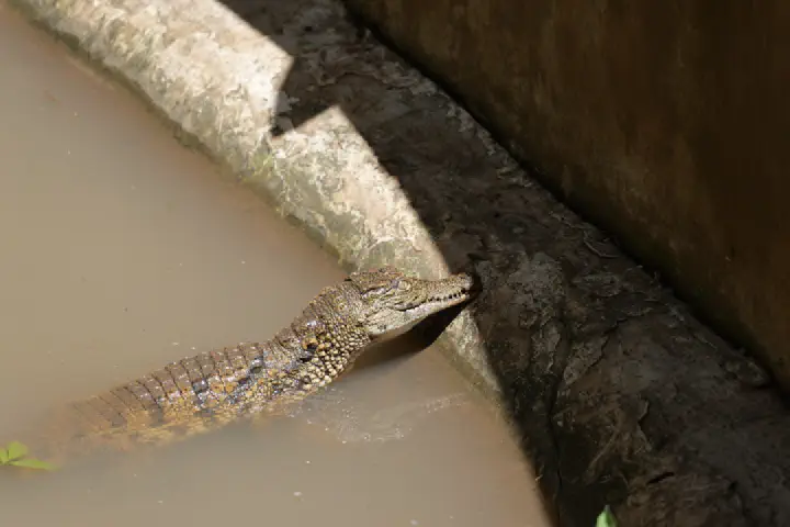 Hell-Ville, Madagaskar - Photo 20