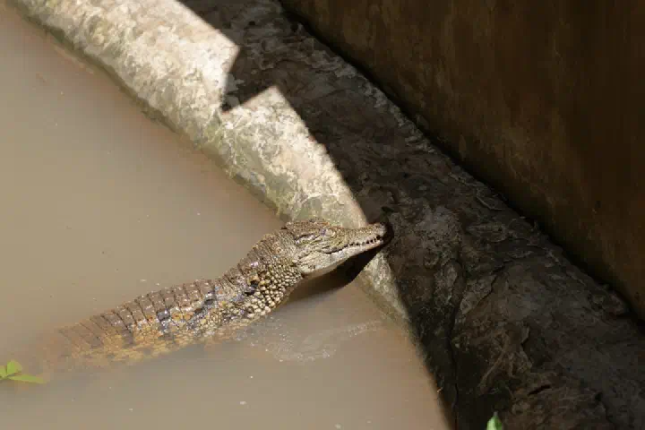 Hell-Ville, Madagaskar - Photo 20