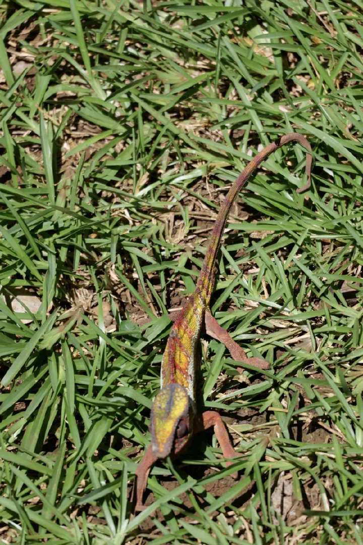 Hell-Ville, Madagaskar - Photo 23