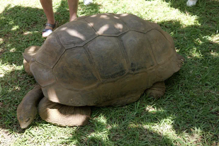 Hell-Ville, Madagaskar - Photo 30