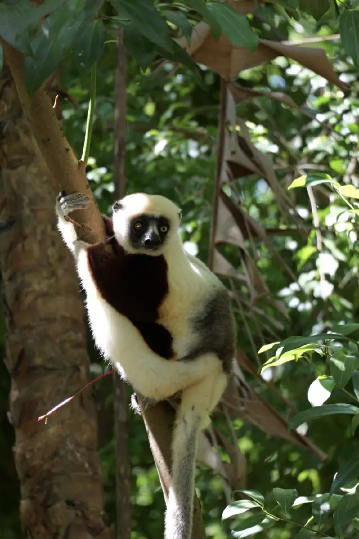 Hell-Ville, Madagaskar - Photo 33