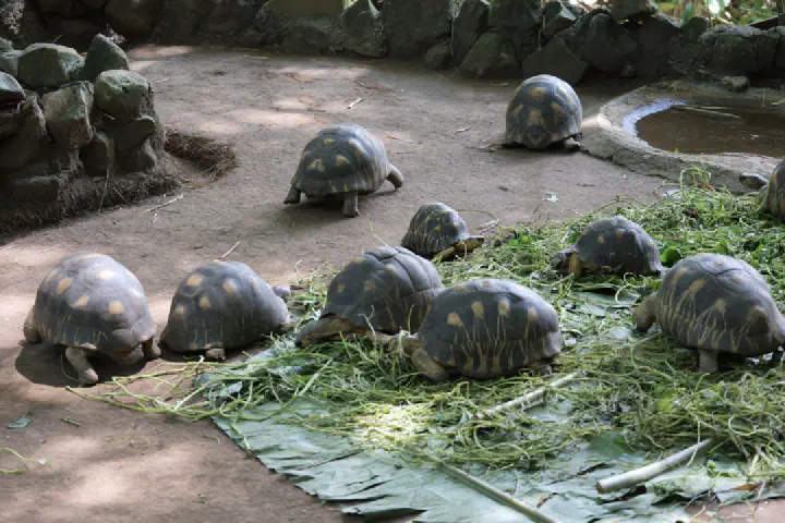 Hell-Ville, Madagaskar - Photo 36