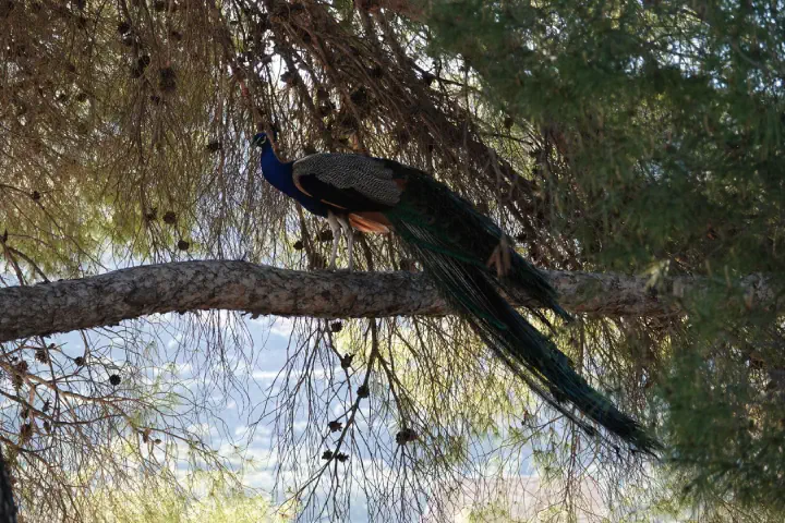 Heraklion, Griechenland - Photo 11