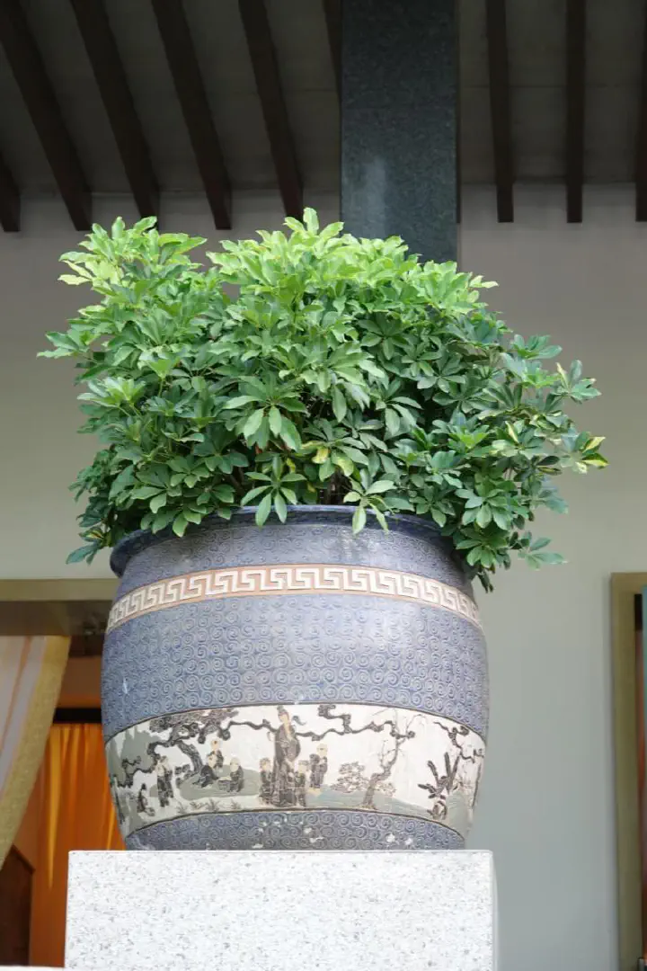 Ho-Chi-Minh-Stadt, Vietnam - Photo 21