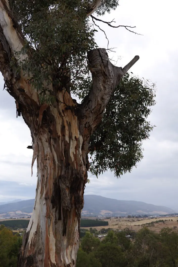 Hobart, Australien - Photo 5