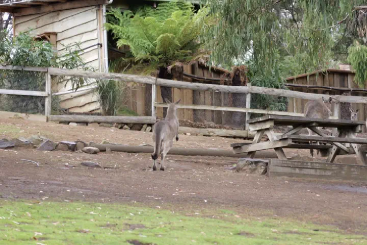 Hobart, Australien - Photo 6