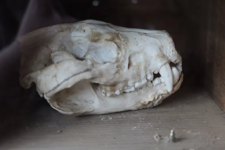 Hobart, Australien - Photo 22