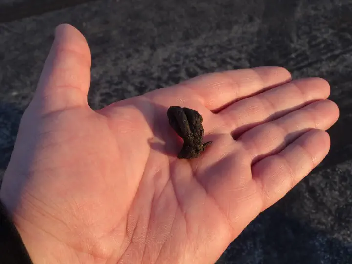 Hockenheim, Deutschland - Photo 31