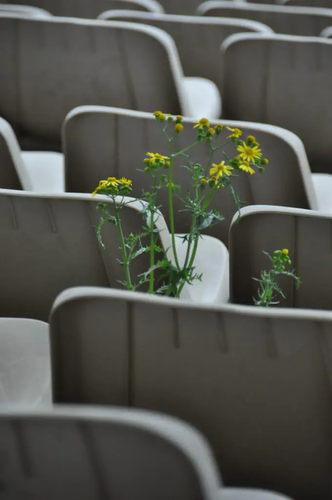 Hockenheim, Deutschland - Photo 47