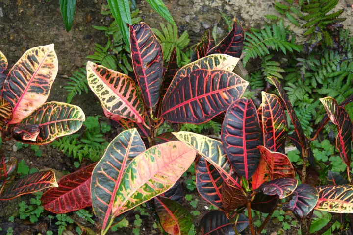 Hongkong, Hongkong - Photo 17