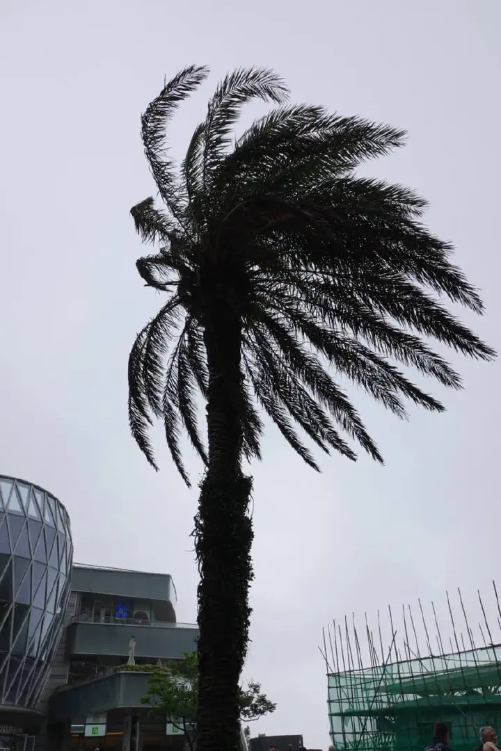 Hongkong, Hongkong - Photo 19