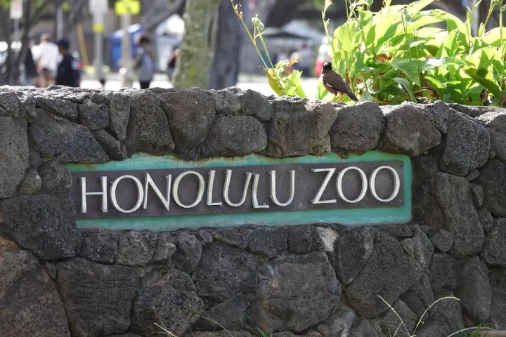 Honolulu, USA - Photo 19