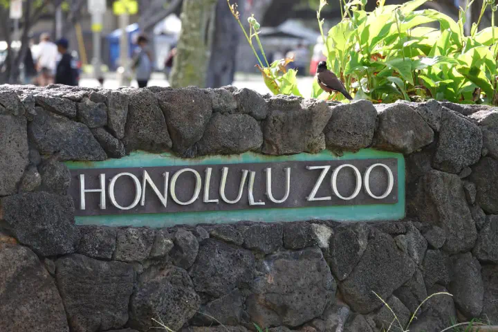 Honolulu, USA - Photo 19