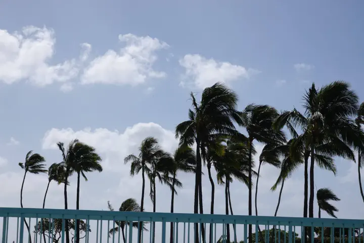 Honolulu, USA - Photo 22