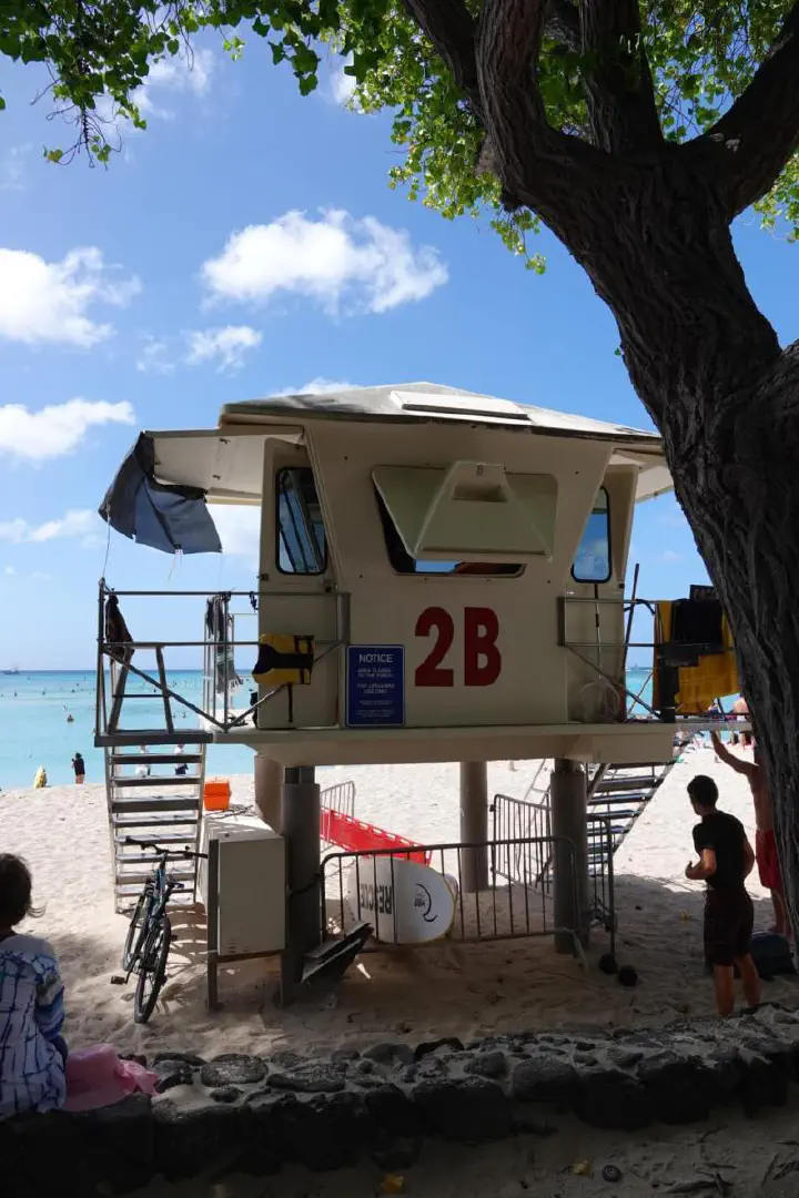 Honolulu, USA - Photo 34